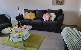 Rosenhirsch Ferienwohnung